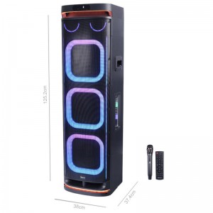 verity Speaker V-ps3010