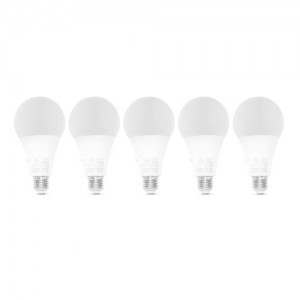 لامپ حبابی تکتاب 20 وات 12 ماه گارانتی ( 5 عددی )