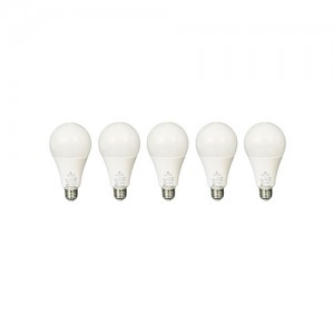 لامپ حبابی ایران زمین 20 وات