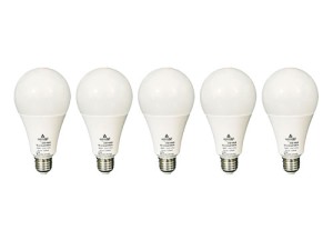 لامپ حبابی ایران زمین 9 وات گارنتی 12 ماه