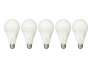 لامپ حبابی ایران زمین 15 وات