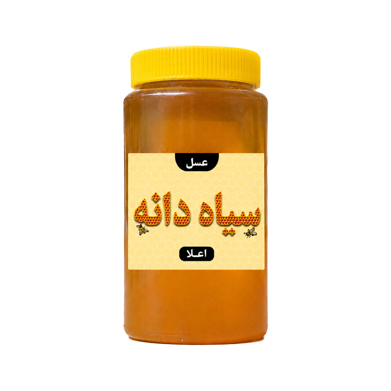 عسل سیاهدانه اعلا بسته بندی یک کیلویی پک 12 عددی