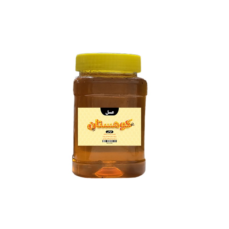عسل کوهستان (نیمه تغذیه) بسته بندی یک کیلویی پک 12 عددی