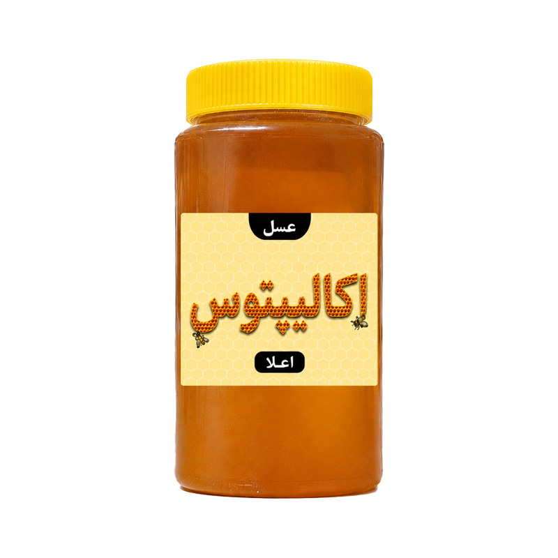 عسل اکالیپتوس اعلا بسته بندی یک کیلویی پک 12 عددی