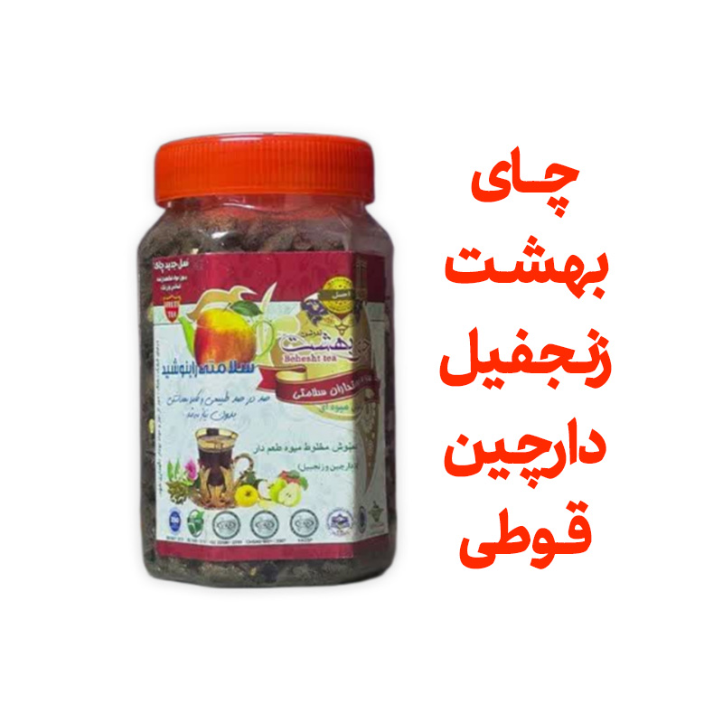 چای بهشت دمنوش میوه ای با طعم زنجفیل و دارچین قوطی 170 گرمی