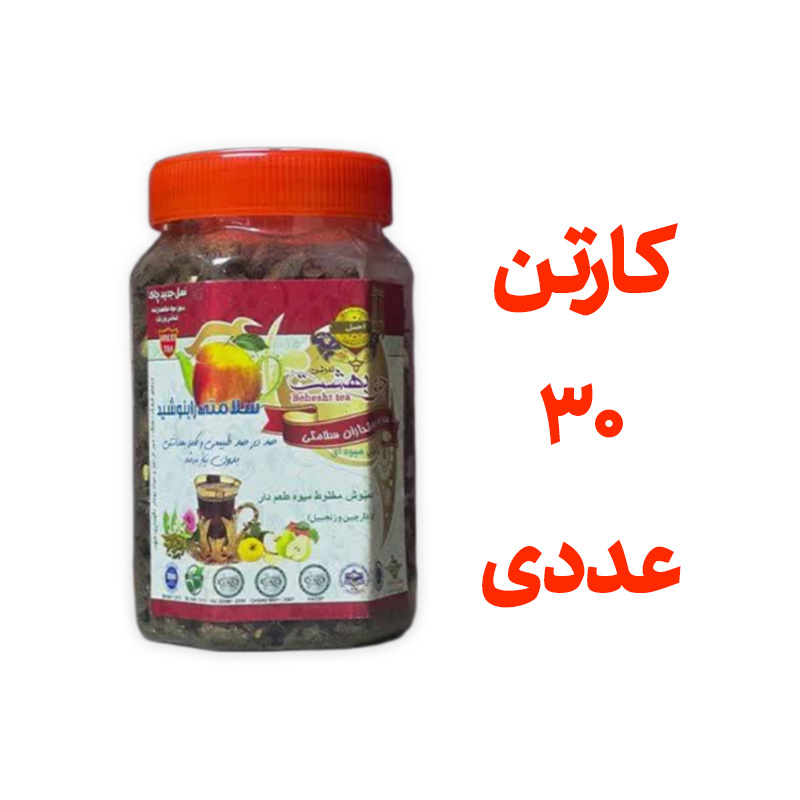 کارتن 30 عددی چای بهشت دمنوش میوه ای با طعم زنجفیل و دارچین قوطی 170 گرمی