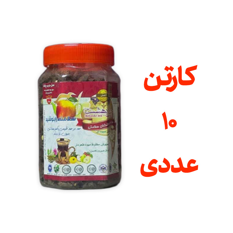 کارتن 10 عددی چای بهشت دمنوش میوه ای با طعم زنجفیل و دارچین قوطی 170 گرمی
