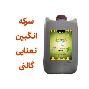 سرکه انگبین نعنایی (عسلی) گالنی اعلا