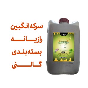 سرکه انگبین رازیانه (عسلی) گالنی اعلا