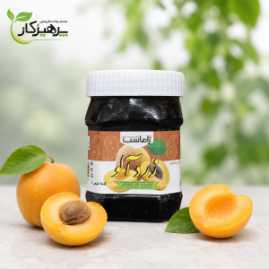 رب میوه ای زردآلو پک 16 عددی