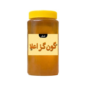 عسل گون‌گز اعلا بسته بندی یک کیلویی پک 12 عددی