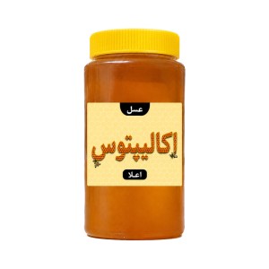 عسل اکالیپتوس اعلا بسته بندی یک کیلویی پک 12 عددی