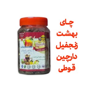 چای بهشت دمنوش میوه ای با طعم زنجفیل و دارچین قوطی 170 گرمی