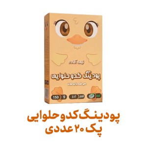 پودینگ کدو حلوایی فراسودمند 150 گرمی با ظرف در پک 20 عددی