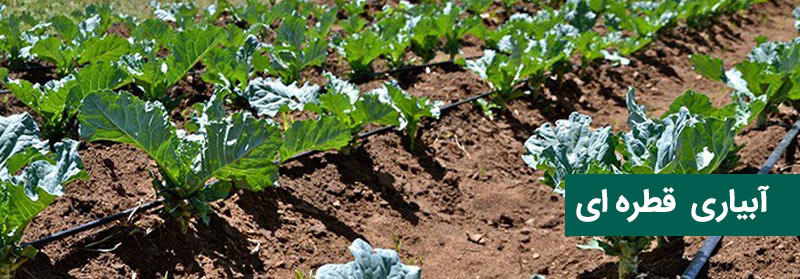 آبیاری قطره ای