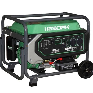 موتور برق 3 کیلووات استارتی های ورک مدل HWG-3320R