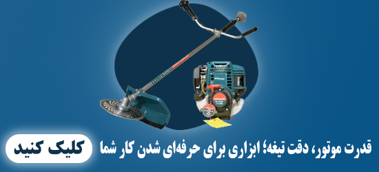 تست