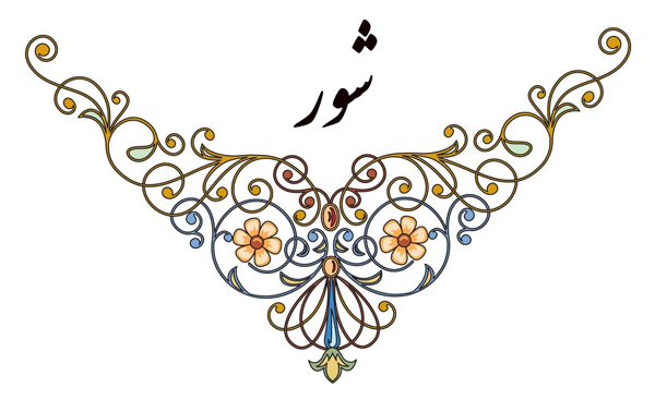 شور (دستگاه موسیقی)