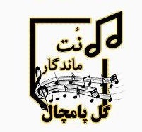نت گل پامچال