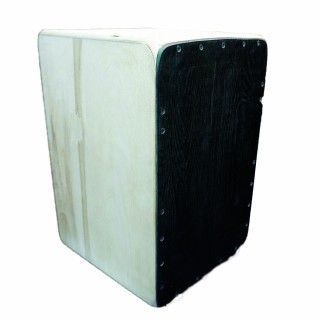 کاخن مدل ملودی