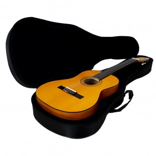 گیتار ملودی مدل m4