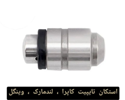 استکان تایپیت کاپرا ، وینگل