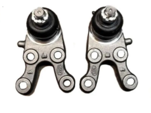 سیبک طبق پایین کاپرا