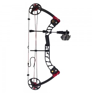 تیر و کمان کامپوند ساخت ایتالیا