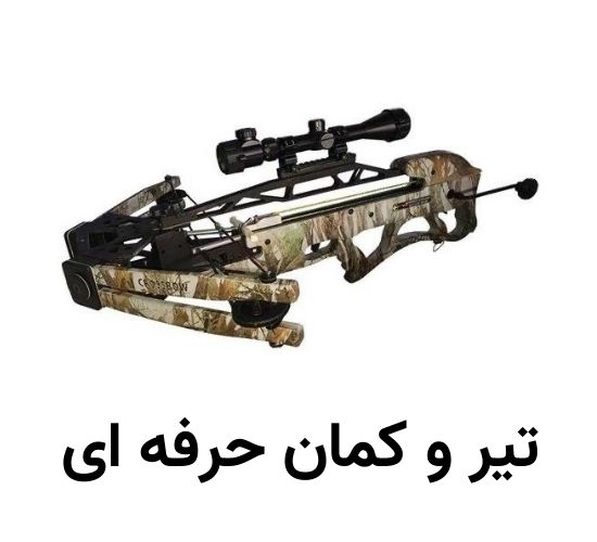 تیر و کمان حرفه ای 