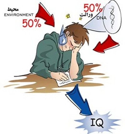 IQ يعنی چی؟