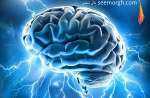 چگونه مراقب حافظه مان باشیم؟