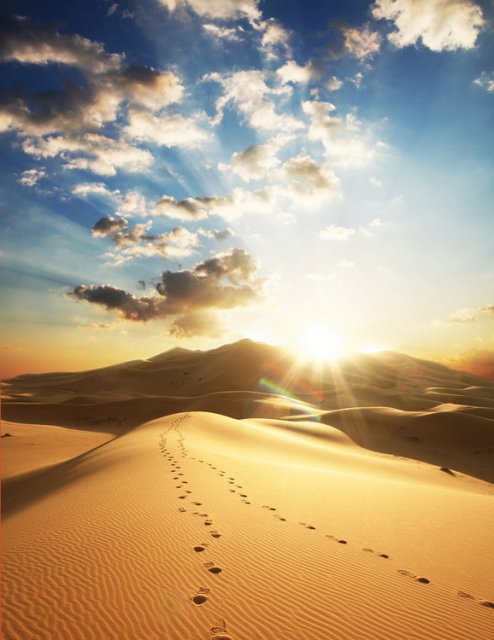 آن پنجمین کتاب... _ قسمت دوم