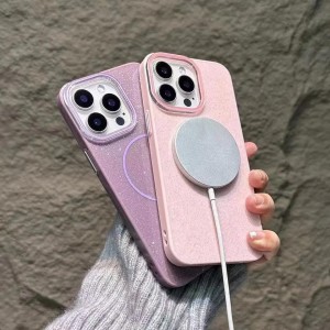 قاب اکلیلی پشت سخت طرح مگ سیف