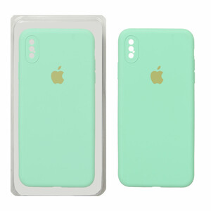 قاب سیلیکونی پاک کنی محافظ لنزدار اورجینال Apple iPhone X Max / iPhone XS Max - سبز روشن (پک دار)