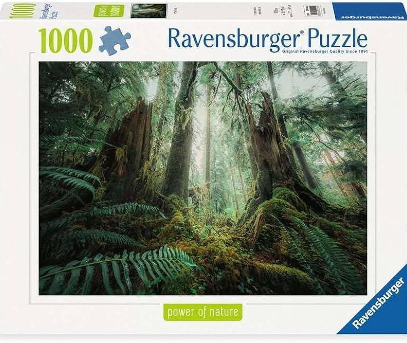 پازل 1000 تکه طرح جنگل طبیعت (In the Forest) راونزبرگر