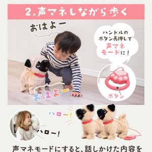 عروسک سگ کنترلی مدل Pug Puppy – عروسک متحرک و موزیکال با قلاده کنترلی