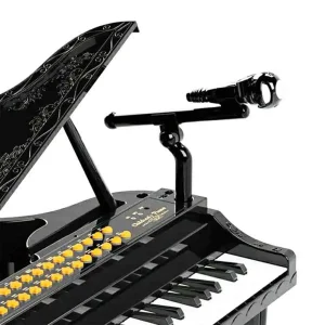 پیانو صندلی دار بزرگ