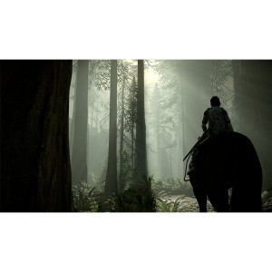 بازی Shadow of the Colossus برای ps4
