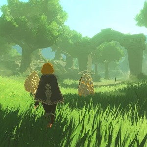 خرید بازی Hyrule Warriors Age Of Imprisonment برای Nintendo Switch 2