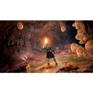 بازی Elden Ring:Shadow of the Erdtree برای ps5