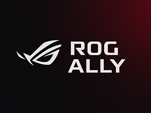Rog Ally