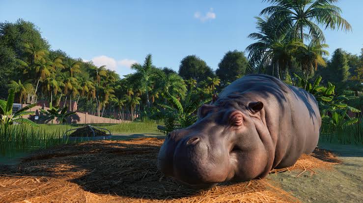 Planet Zoo: Console Edition