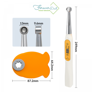 لایت کیور LED فوراور FOREVER