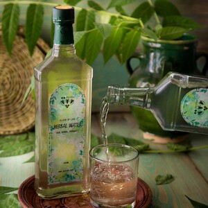 عرق کهلیک اوتی(کاکوتی)