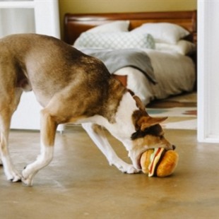 اسباب بازی همبرگر پلاستیکی صدادار (مخصوص سگ )