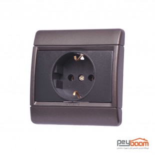 پریز برق ارت دار دلند مدل رایان