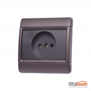 پریز برق دلند مدل رایان