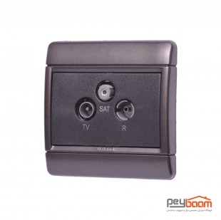 فیش آنتن مرکزی دلند مدل رایان