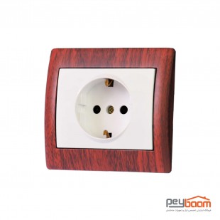 پریز برق ارت محافظ دار دلند مدل آریا