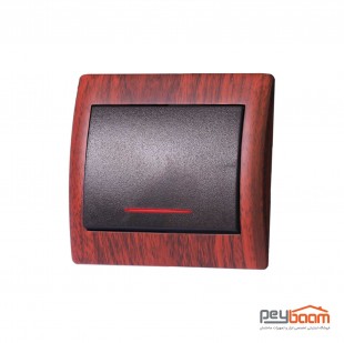 کلید تبدیل دلند مدل آریا